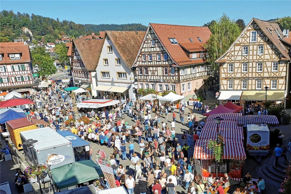 Die Beschicker schlagen ihre Stände in der Innenstadt auf. Foto: Naturpark