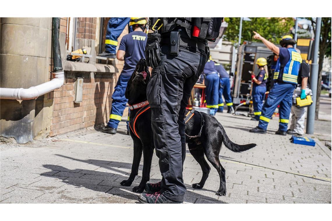 Die Einsatzkräfte suchen nach Spuren.