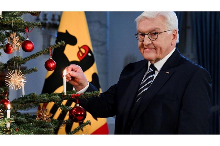 Die Entscheidung über die Auflösung des Bundestages und über Neuwahlen will Bundespräsident Steinmeier nach den Weihnachtstagen treffen.