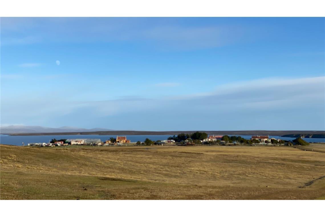 Die Falklandinseln liegen im südlichen Atlantik vor der Küste Südamerikas.