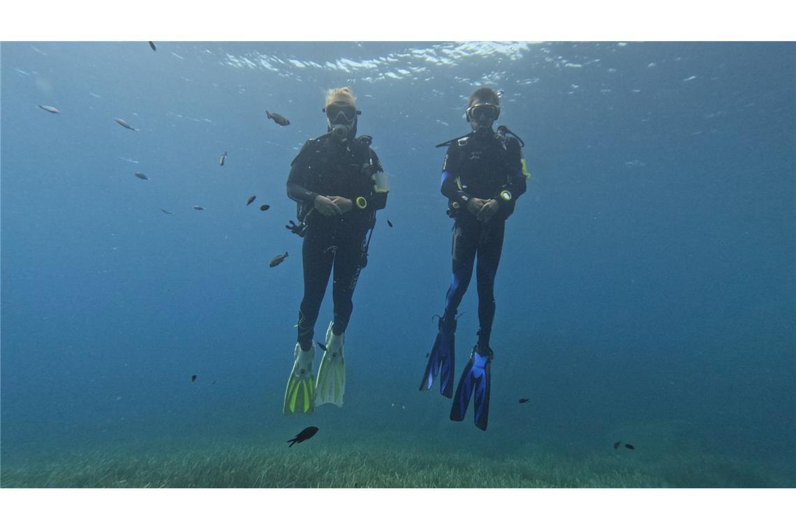 Die Fische scheinen Taucher anhand von Farbmerkmalen ihrer Ausrüstung zu erkennen.