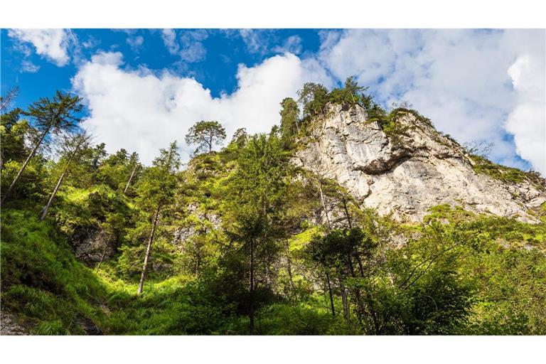 Die Frau stürzte in der Almbachklamm in die Tiefe. (Archivbild)