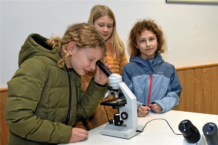 Die jungen Gäste schauen sich ein paar Präparate durchs Mikroskop an. Foto: Elisabeth Klaper