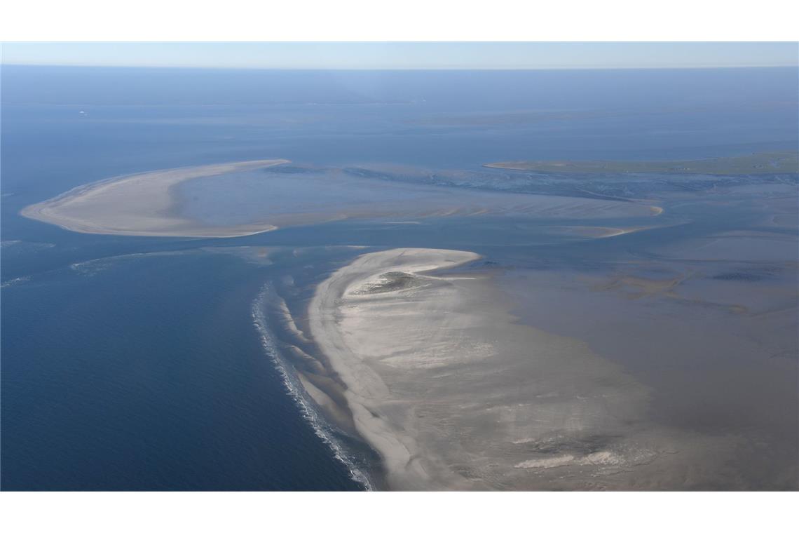 Die Klimaerwärmung verändert den Lebensraum am Wattenmeer. (Archivbild)