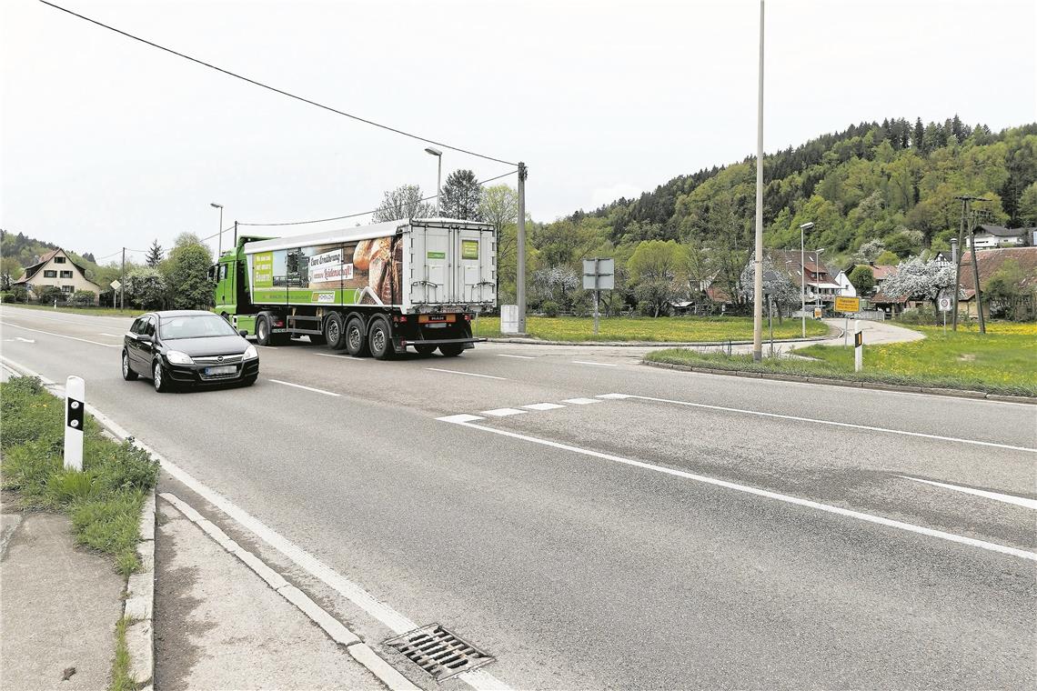 Die L1066 verursacht durch das hohe Verkehrsaufkommen viel Lärm. Archivfoto: J. Fiedler