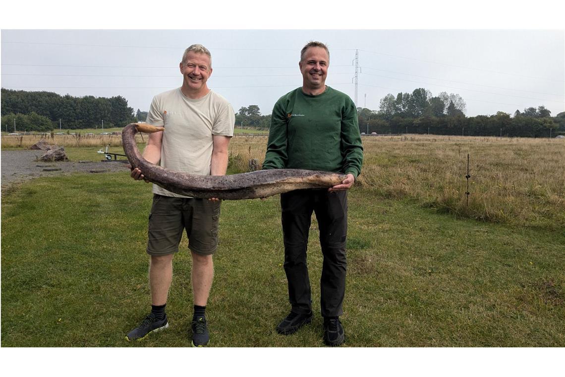 Die Naturführer Morten Gebhardt (l) und Kenneth Nielsen, beide von dem Erlebniszentrum NaturBornholm, zeigen den angespülten Walpenis.