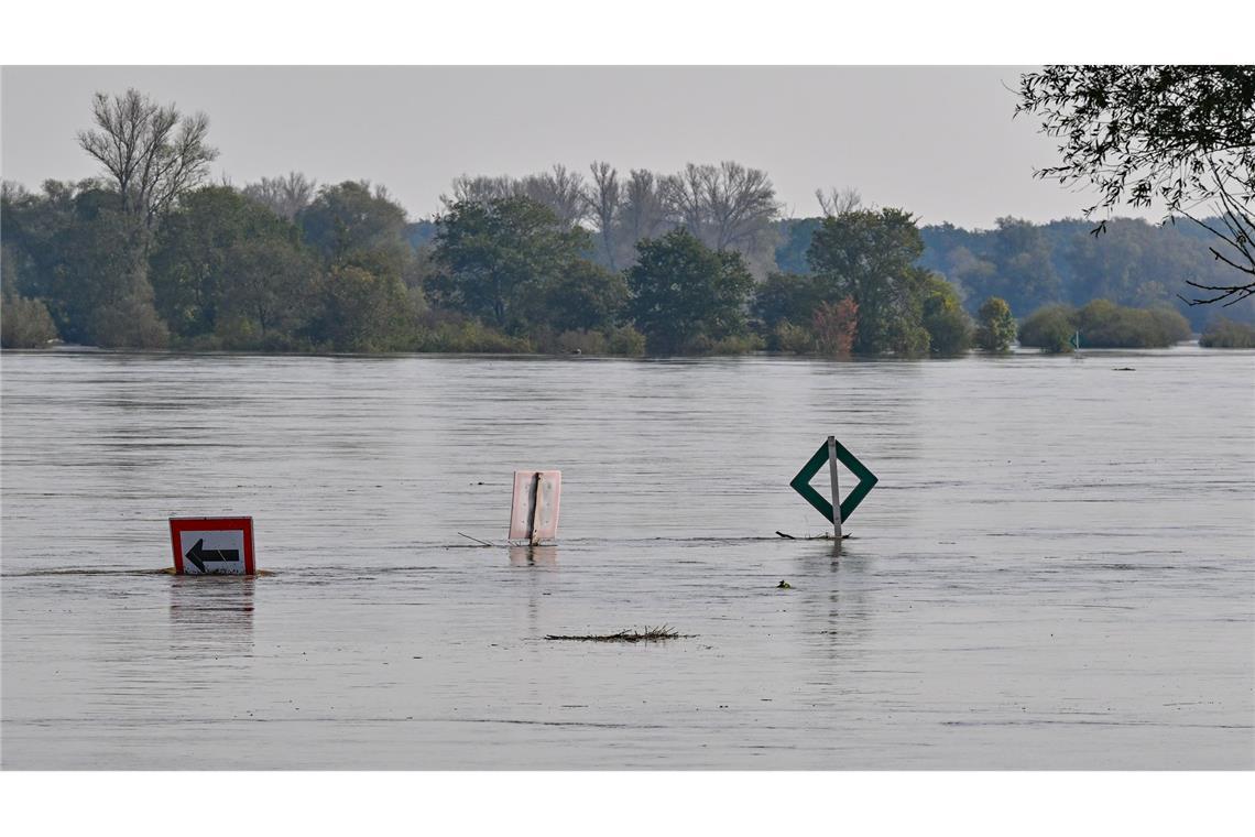 Die Oder bei Ratzdorf (Oder-Spree) "verschluckt"  inzwischen Schilder im Fluss. Der Pegelstand steigt auch noch weiter.