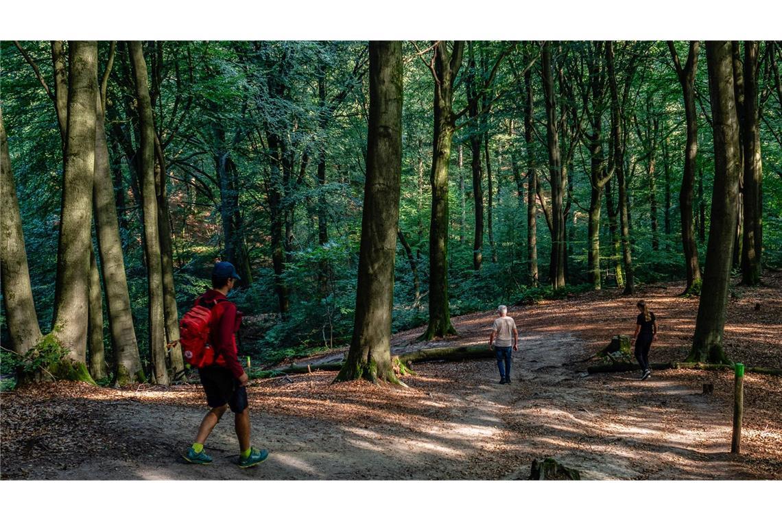 Die Personen verunglückten beim Wandern in Österreich. (Symbolbild)