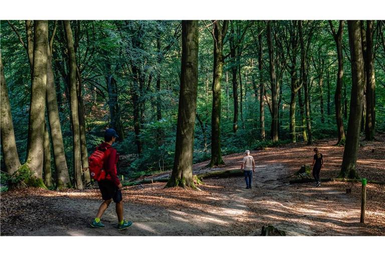 Die Personen verunglückten beim Wandern in Österreich. (Symbolbild)