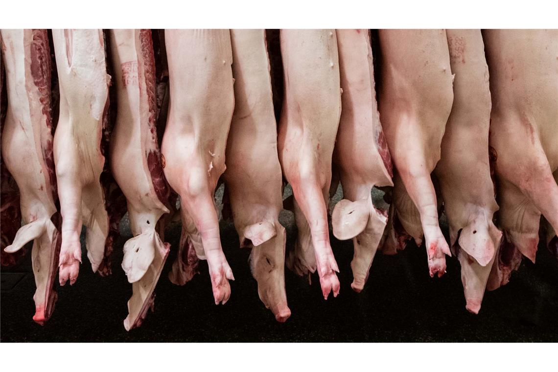 Die Schlachtmenge bei Schweinefleisch steigt um 1,9 Prozent. (Archivbild)