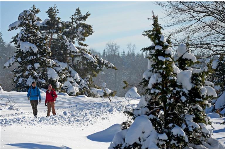 Die Schwäbische Alb hat in den letzten Tagen viel Schnee abbekommen und lädt zum Wandern oder Schlittenfahren ein. (Archivbild)