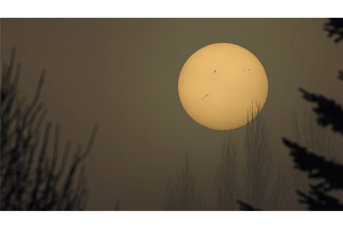 Die Sonne kämpft sich durch den dichten Nebel im Spreewald. Gut zu sehen: Die Sonnenflecken