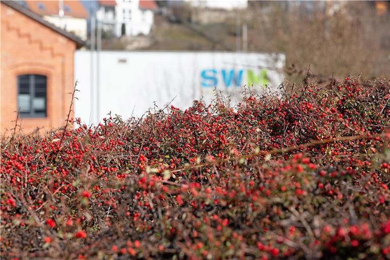 Die Stadtwerke freuen sich, dass sie die Gaspreise zum 1. Januar 2024 senken können. Archivfoto: Jörg Fiedler