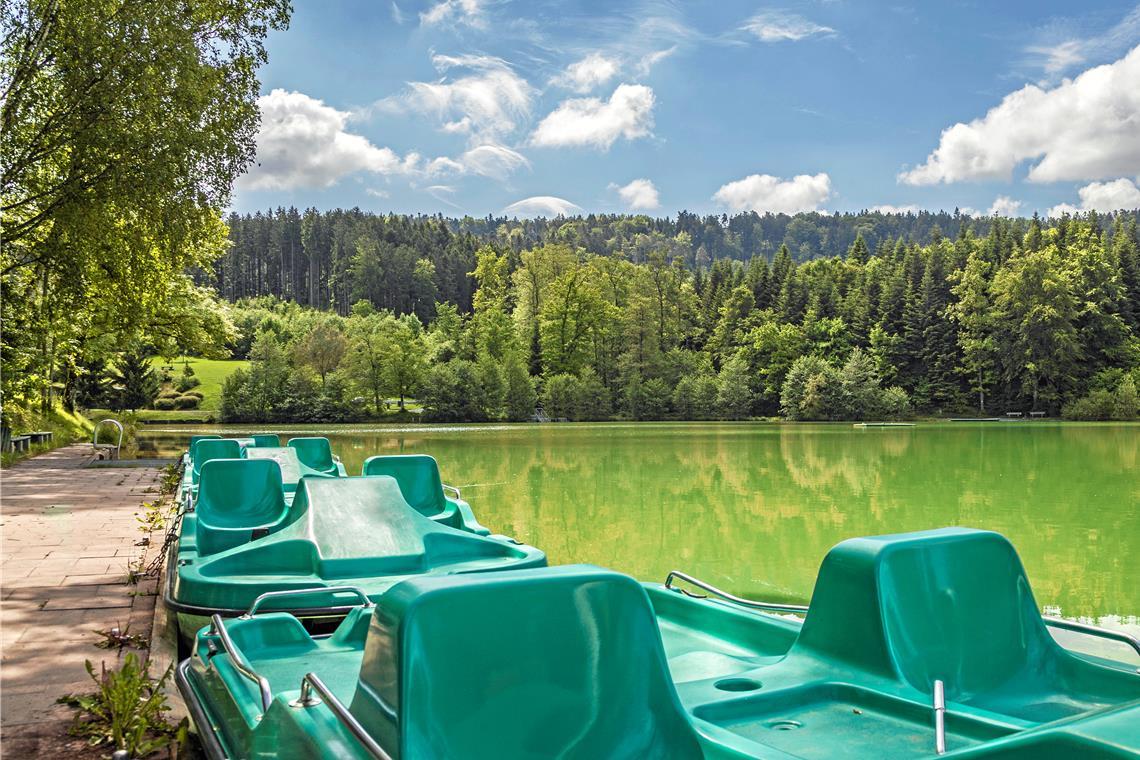 Die Untersuchung bescheinigt dem Waldsee ausgezeichnete Qualität. Archivfoto: Stefan Bossow