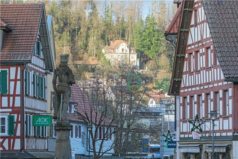 Die Villa Franck ist stadtbildprägend. Vom Marktplatz aus ist sie gut zu sehen. Foto: Stefan Bossow