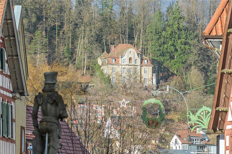 Die Villa Franck prägt das Murrhardter Stadtbild mit. Archivfoto: Stefan Bossow