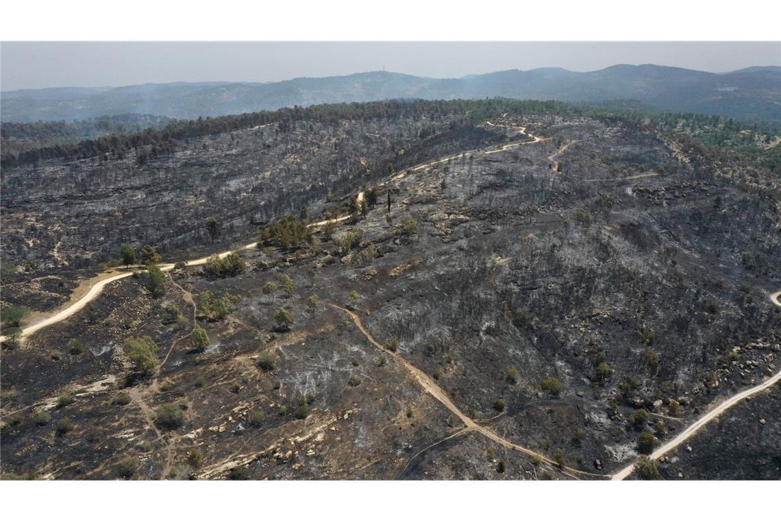 Schwere Waldbrände wüten bei Jerusalem Die Wälder um Jerusalem mussten den Bränden bereits Tribut zollen.