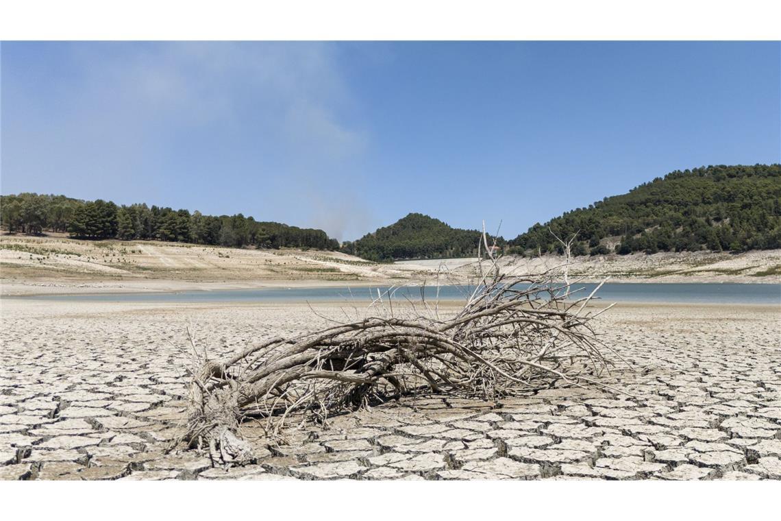 Die Weltwetterorganisation (WMO) stellte ihren Bericht über den Zustand des Weltklimas 2024 vor. 