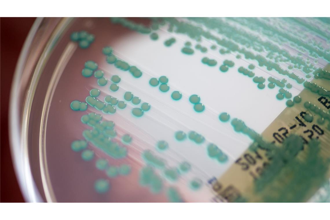 Die Zahl der Todesfälle, bei denen multiresistente Keime eine Rolle spielen, könnte von 4,71 Millionen auf 8,22 Millionen steigen. (Archivbild)