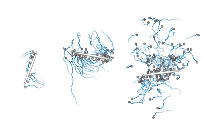 Ein Algorithmus für maschinelles Lernen ermöglicht es Mikrorobotern (grau, mit blauen Bewegungsspuren), gemeinsam ein längliches Objekt zu bewegen. Dies ist in Gruppen mit unterschiedlich vielen Mikrorobotern möglich..