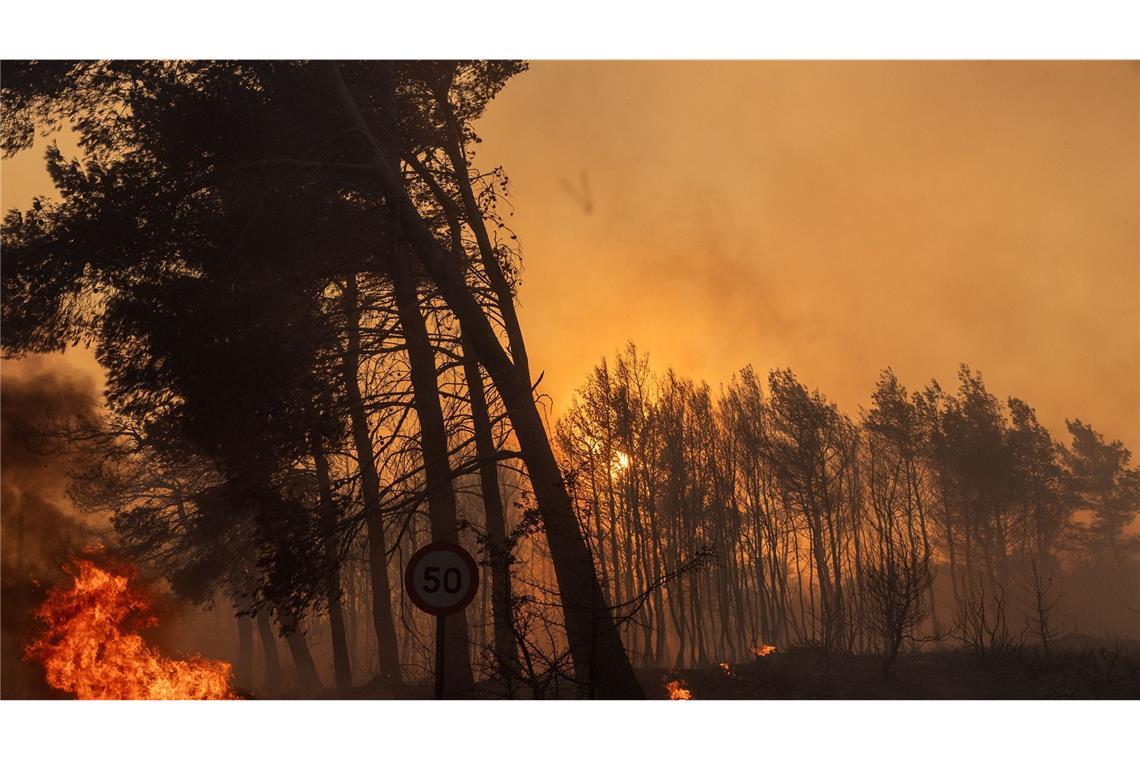 Ein Auto hat Feuer gefangen und brennt in der Region eines großen Waldbrandes, der in Varnavas, etwa 35 km von Athen, wütet.