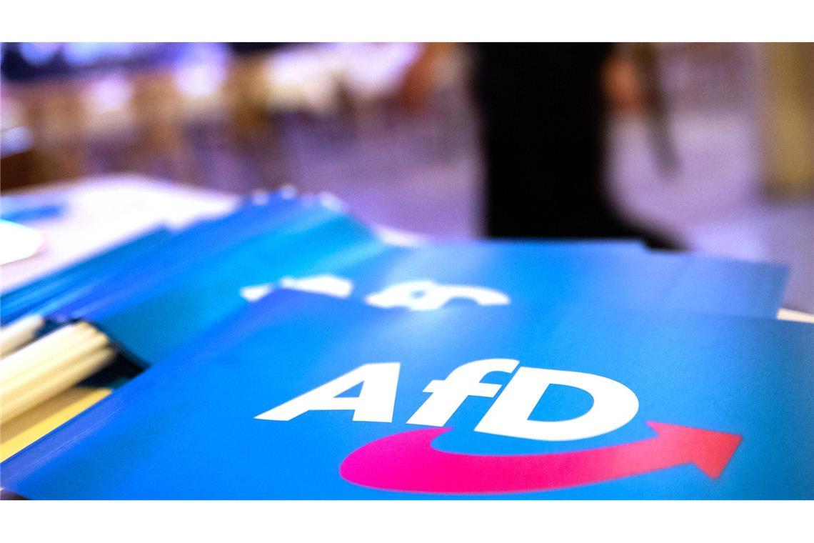 Menschenrechtsinstitut: Chance für AfD-Verbot in Karlsruhe