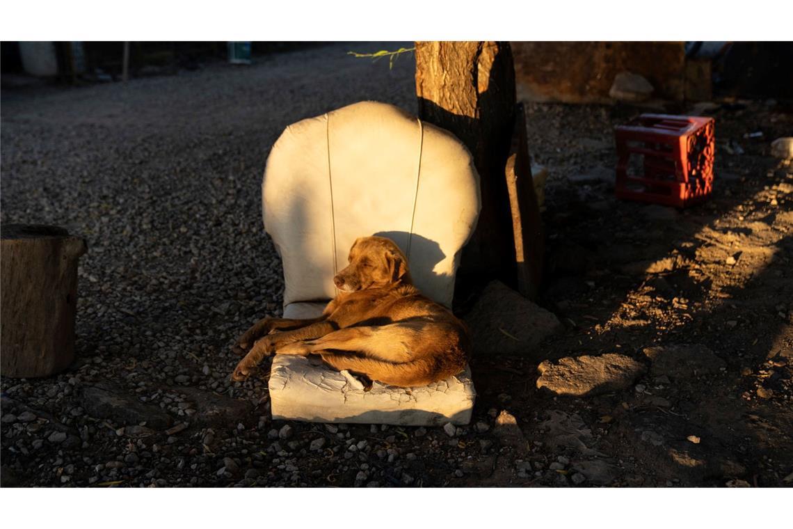 Ein Platz in der Sonne.