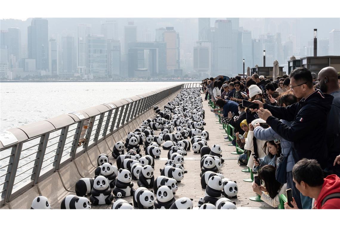 Ein Teil der 2.500 Panda-Skulpturen wird am Ufer des Victoria Harbour während der Panda-Ausstellung "Panda Go!" ausgestellt.