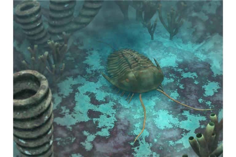 Ein Trilobite schwimmt im Ur-Ozean Panthalassa.