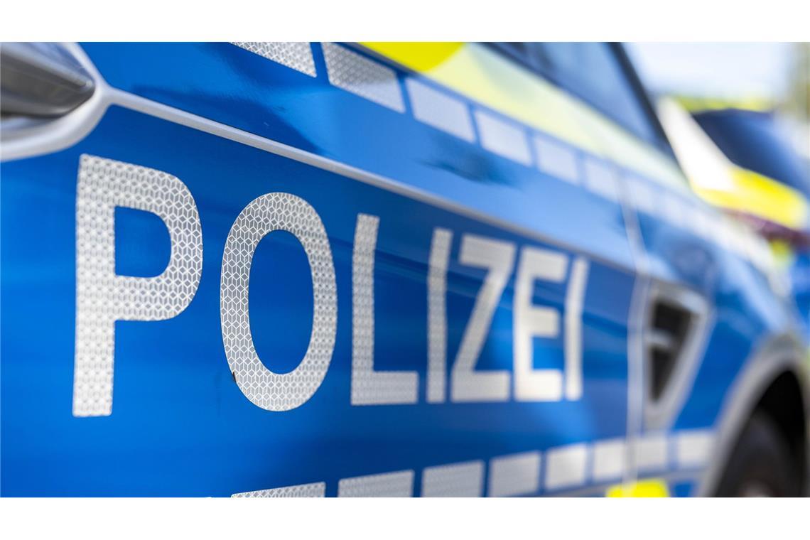 Eine Streife der Polizei rückte aus und ein Polizist begleitete die Kühe zu Fuß. (Symbolbild)