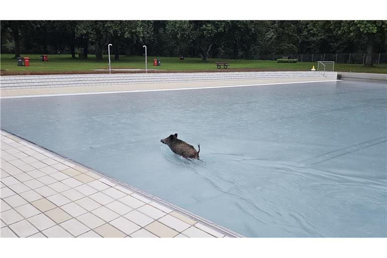 Einer der beiden Badegäste genießt die Abkühlung im Wellenbecken.