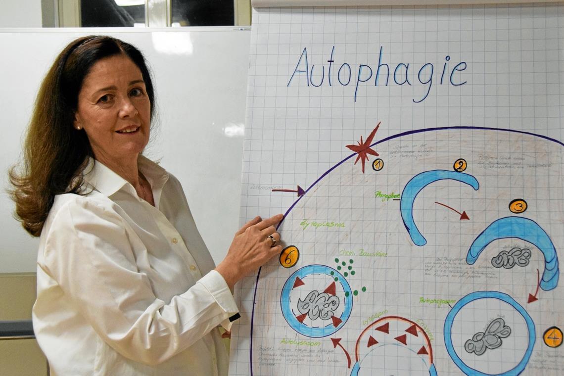 Elke Dederichs ist von den positiven Effekten des Intervallfastens überzeugt. Als ein Beispiel führt sie die Autophagie an, ein Prozess der Zellreinigung und -regeneration. Foto: E. Klaper