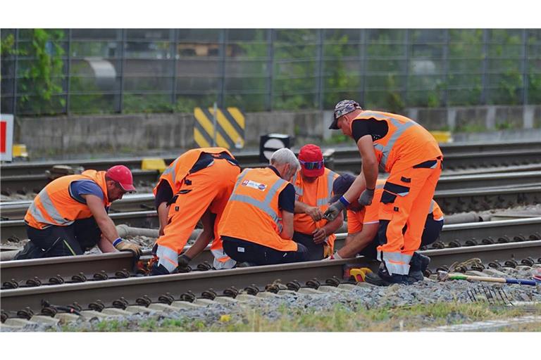 Entlang der derzeit gesperrten Riedbahn zwischen Frankfurt und Mannheim sollen auch alle 20 Bahnhöfe saniert werden.