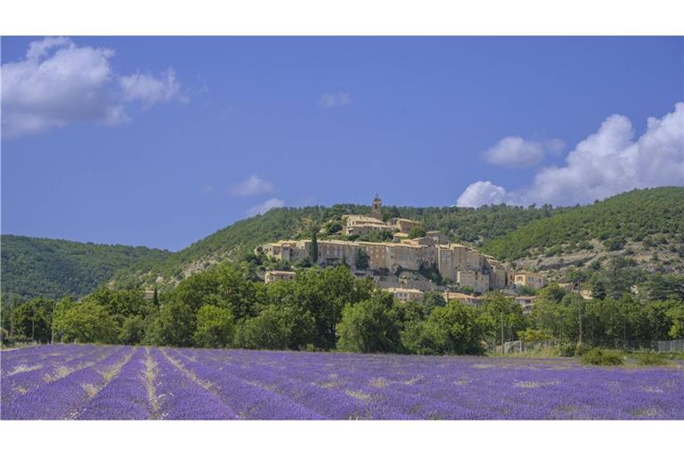 Erinnern Sie sich an diesen Geruch? Lavendelfeld und dahinter der Ort Banon, Alpes-de-Haute-Provence