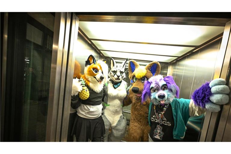 Etwa 100.000 Menschen gehören Schätzungen zufolge mittlerweile dem Furry Fandom in Deutschland an - Tendenz steigend. (Archivbild)