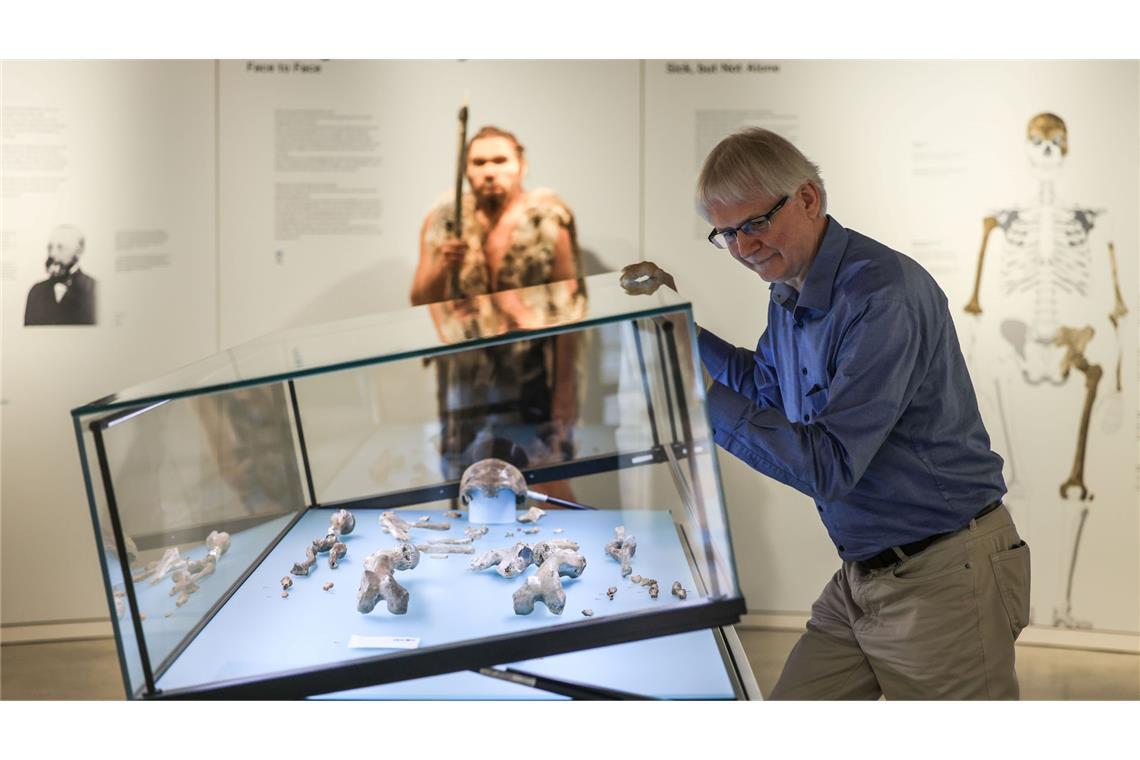 Experte Ralf W. Schmitz öffnet den Glaskasten mit dem Fossil des Original-Neandertalers.