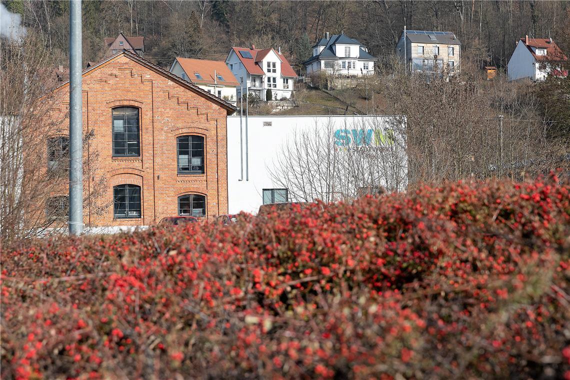 Feuchtigkeitsschäden haben zu Sporen- und Pilzbefall an Putz und Sockel der Fassade des Stadtwerkebetriebsgebäudes geführt. Sie muss chemisch behandelt und neu verputzt werden. Archivfoto: Jörg Fiedler