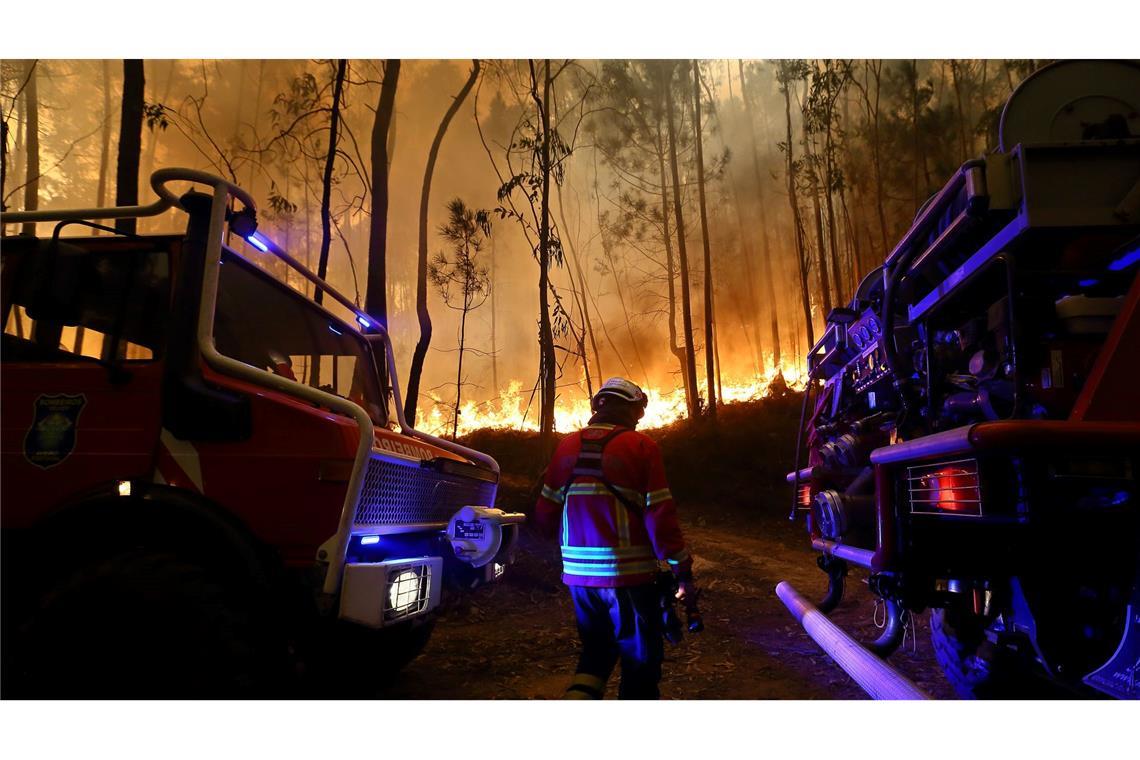 Feuerwehreinheiten löschen einen Brand am Rande von Sever do Vouga in Portugal.