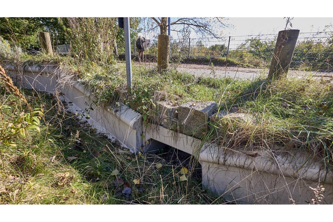 Finden sich im neuen Schwarzbuch des Steuerzahlerbunds im Kapitel "Richtig Skurril!": Krötentunnel in Hamburg-Blankenese.