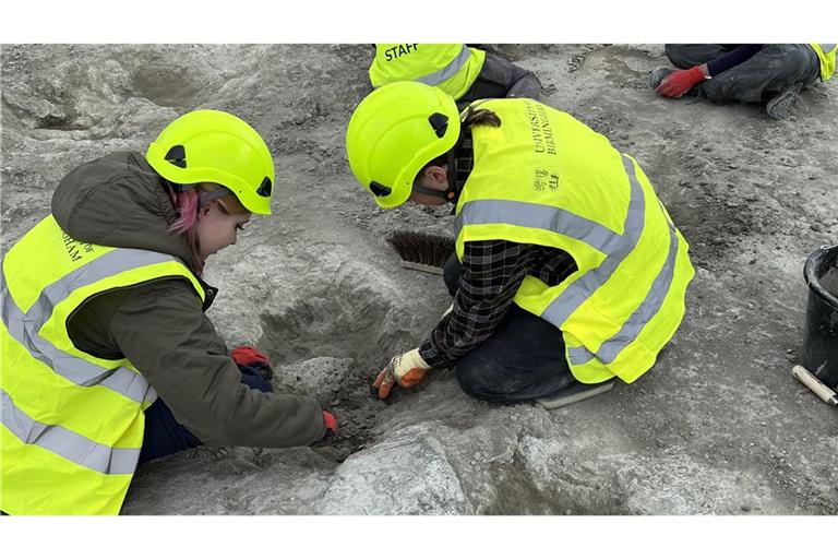 Forscher haben rund 200 Fußstapfen von Dinosauriern entdeckt. (Archivbild)