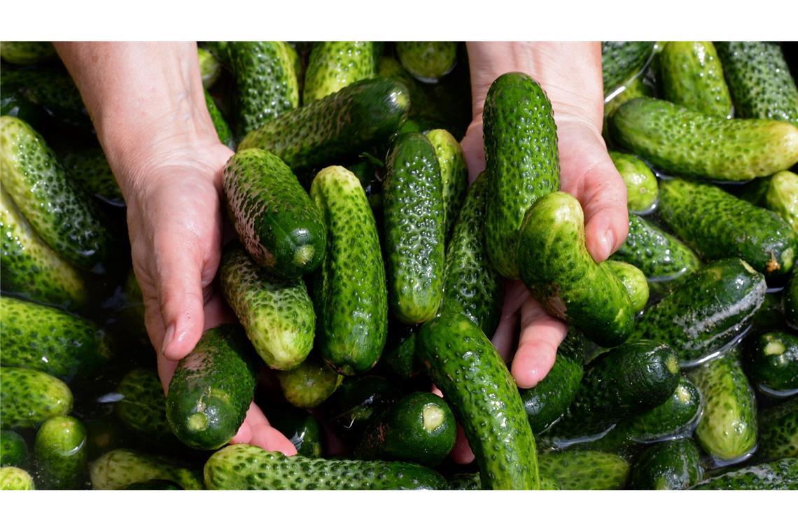 Gewürzgurken-Margaritas, Gewürzgurken-Pommes und sogar Gewürzgurken-Kuchen - wird das ein Foodtrend? (Symbolbild)