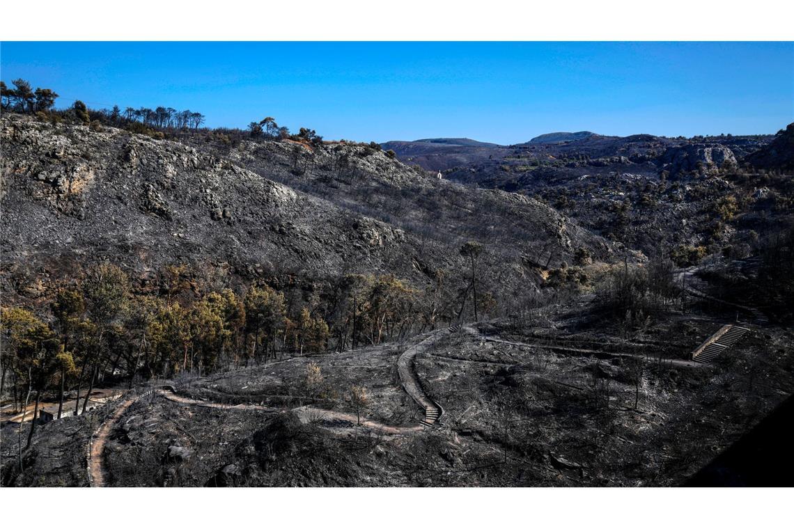 Griechenland wird in diesem Jahr von starken Waldbränden heimgesucht - die Schäden für Mensch und Natur sind groß. (Archivbild)