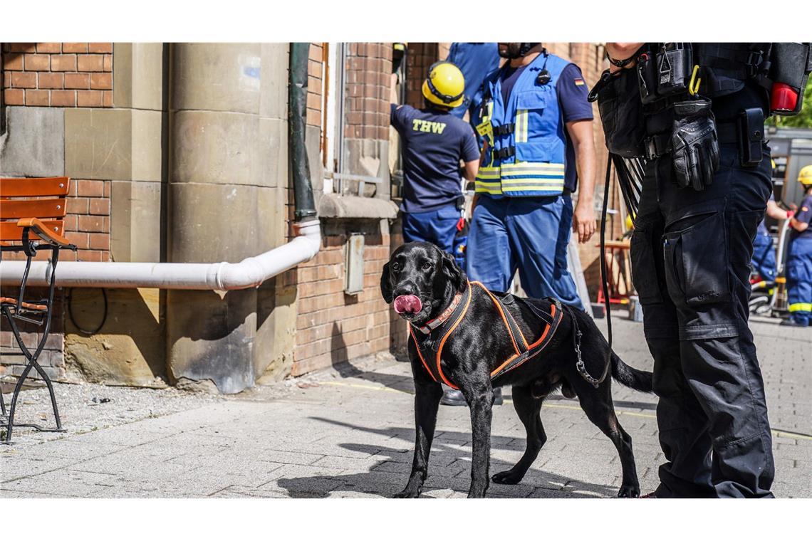 Hunde suchen dort nach Explosivstoff.