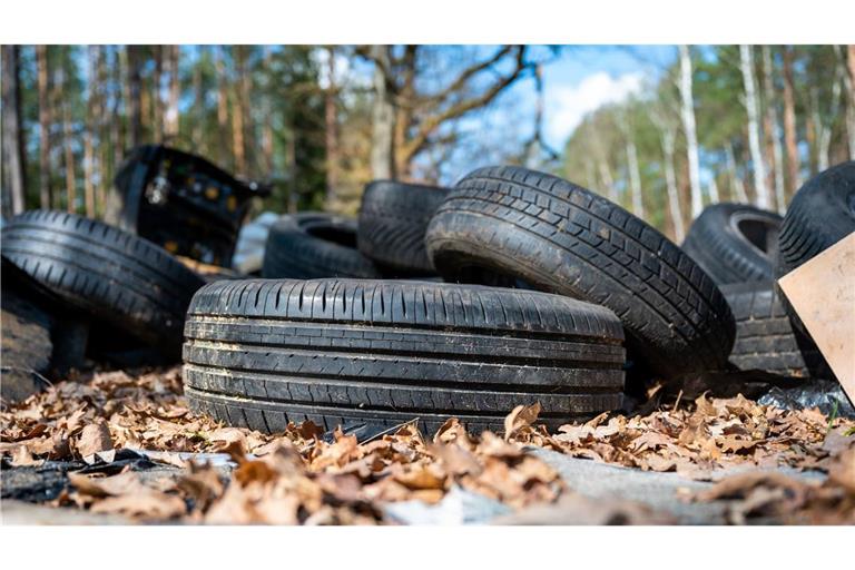 Illegal entsorgte Autoreifen liegen als Müll in einem Waldstück bei Lintzel in Niedersachsen.