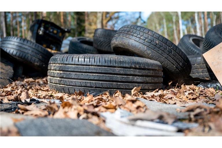 Illegal entsorgter Müll im Wald ist aus Sicht von Umweltschützern ein Problem - gelöst ist es längst noch nicht (Symbolbild).