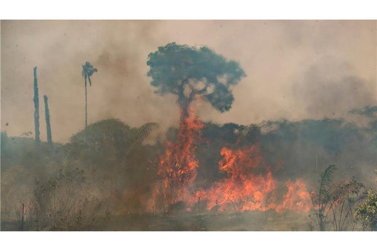 Im brasilianischen Amazonasgebiet toben die schwersten Brände seit fast 20 Jahren.