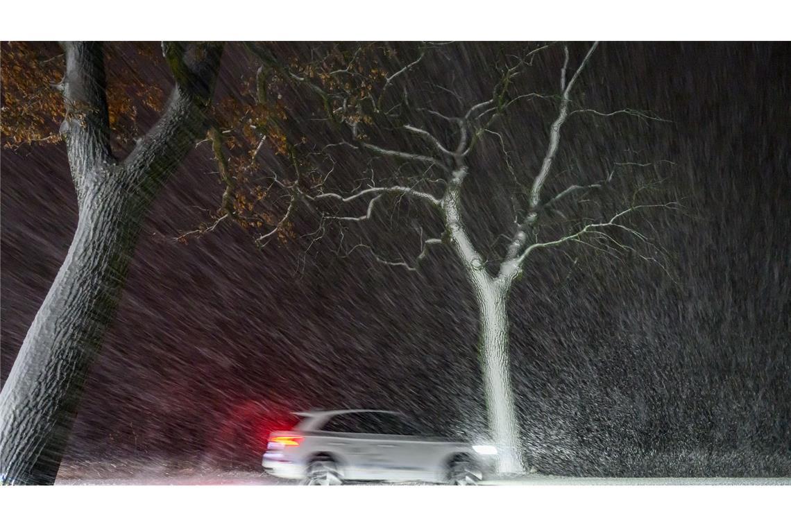 Im dichten Schneetreiben ist ein Auto auf einer Allee im östlichen Brandenburg unterwegs.