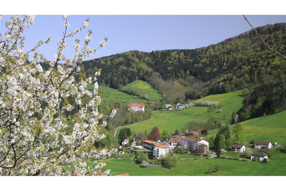 Im Glottertal wurden Jahrhunderte alte Münzen entdeckt. (Symbolbild)