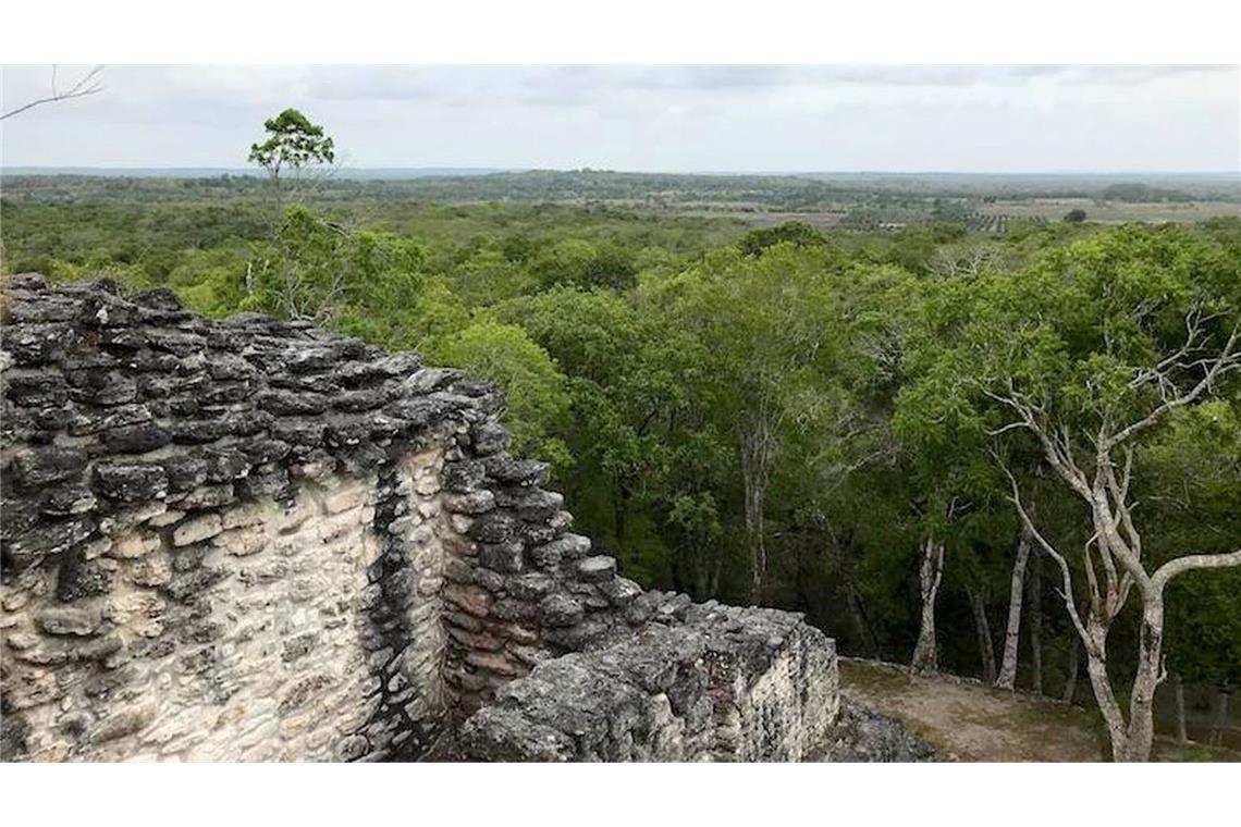 Im mexikanischen Regenwald haben Archäologen eine riesige Mayastadt und weitere Mayabauten entdeckt, die sie Valeriana tauften.