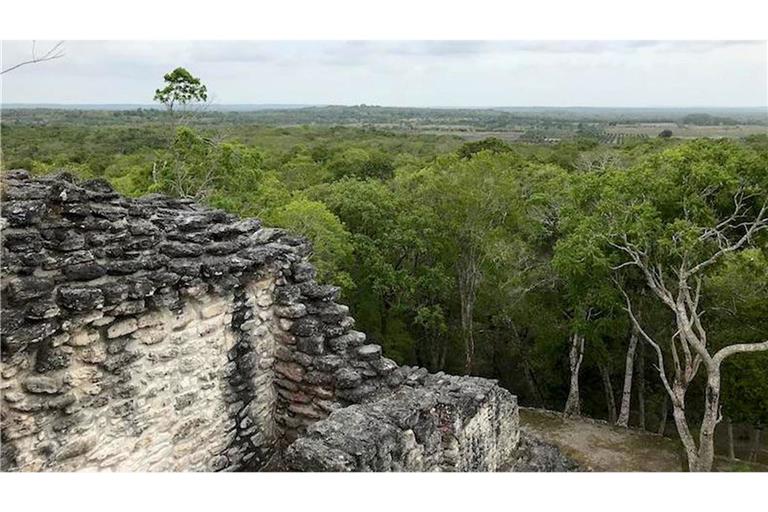 Im mexikanischen Regenwald haben Archäologen eine riesige Mayastadt und weitere Mayabauten entdeckt, die sie Valeriana tauften.